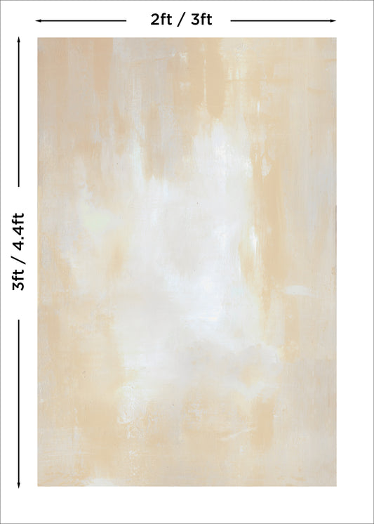 Beach Photography Backdrop