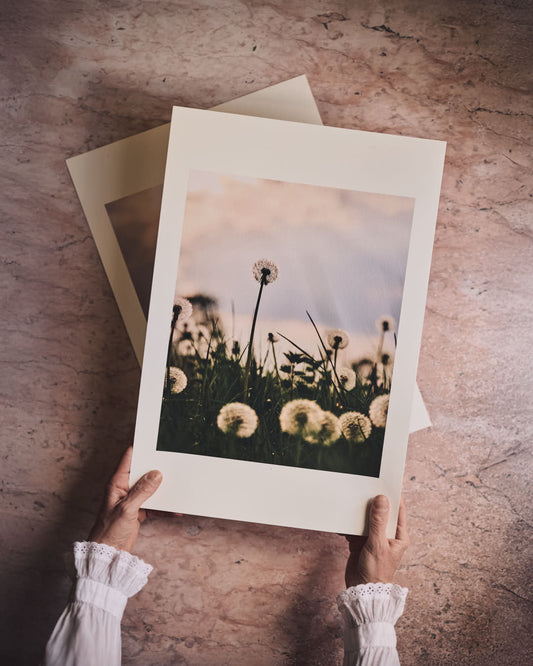 Genoa Pink Photo Backdrop