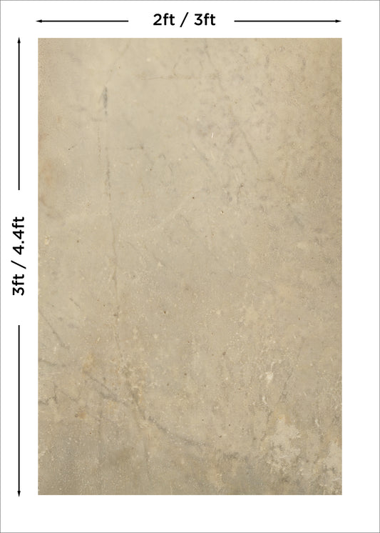 Elmstone