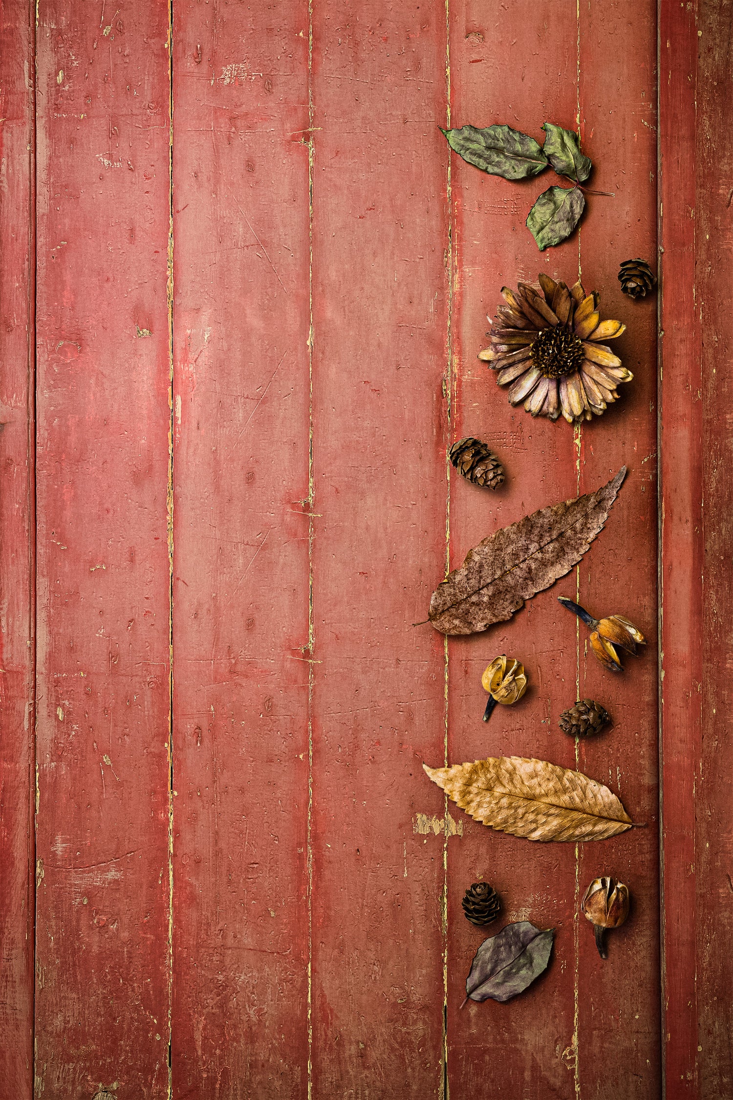 Heritage Red Photo Backdrop