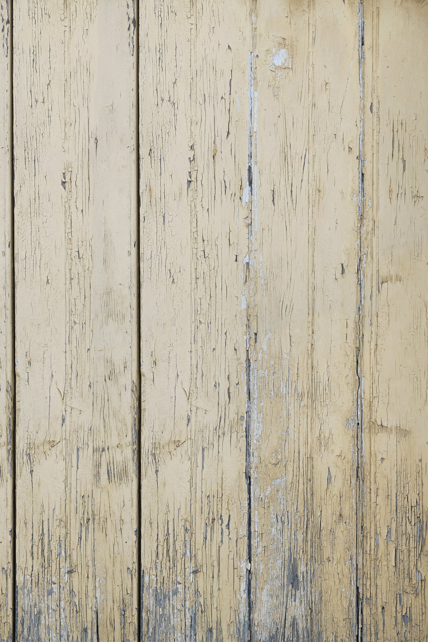 Honeywood Photo Backdrop