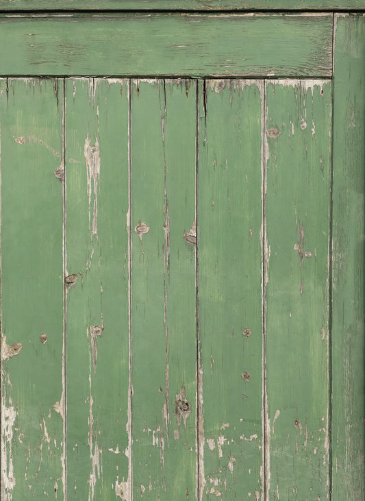 Ivy Door