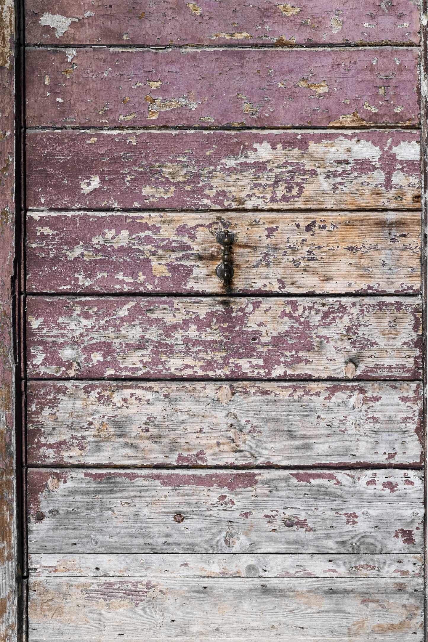 Palazzo Purple Photography Backdrop
