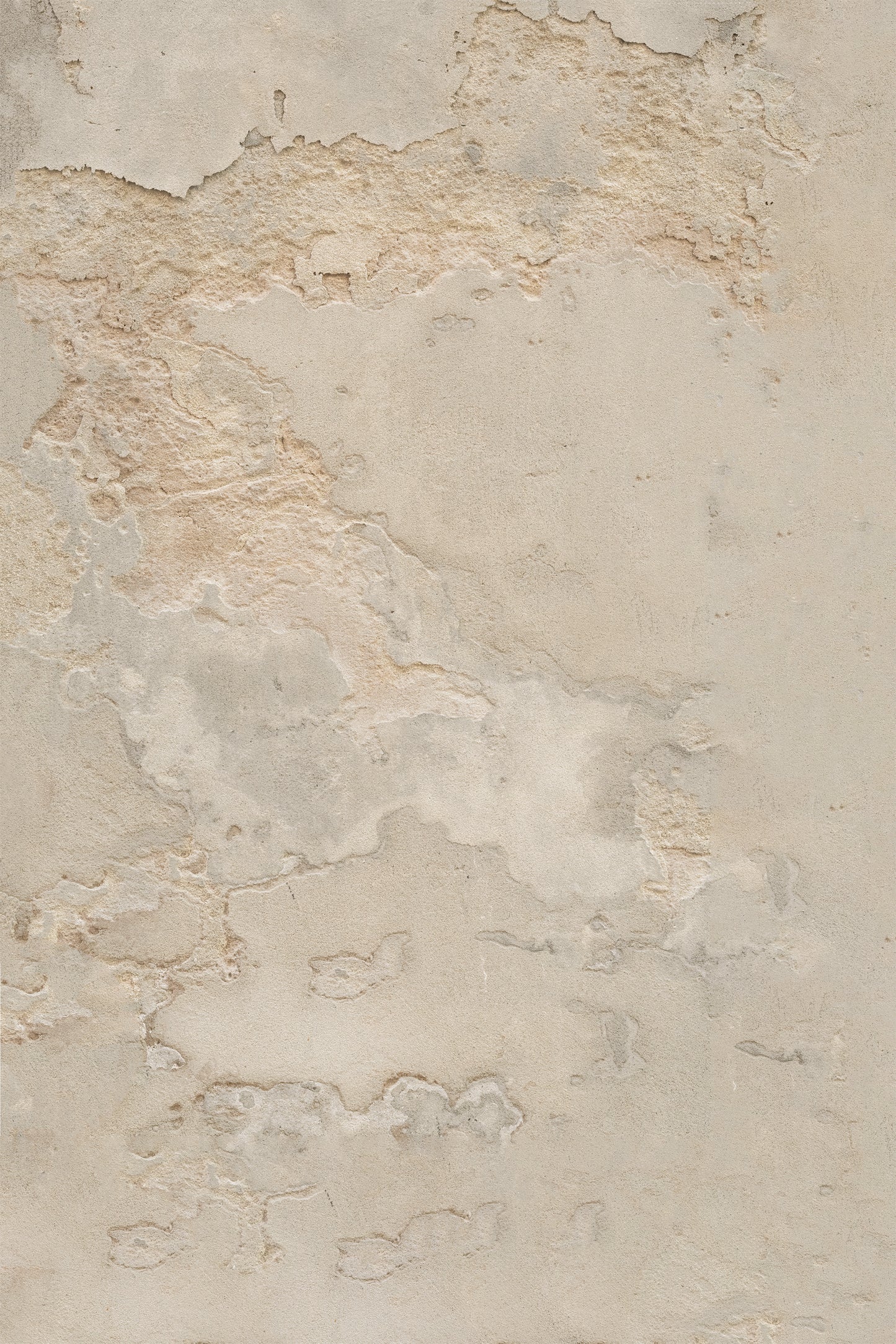 Rome Patina
