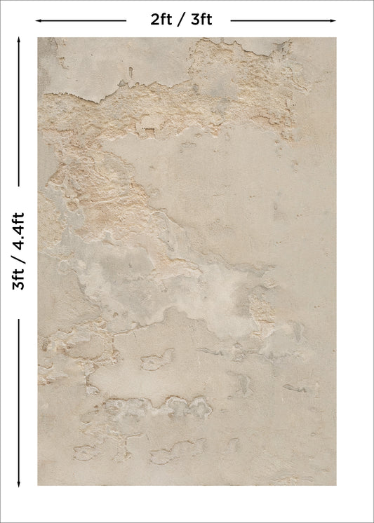 Rome Patina Photo Backdrop
