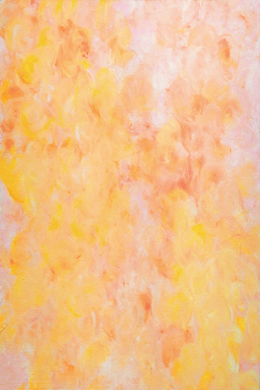 Sorbet Photo Backdrop Main