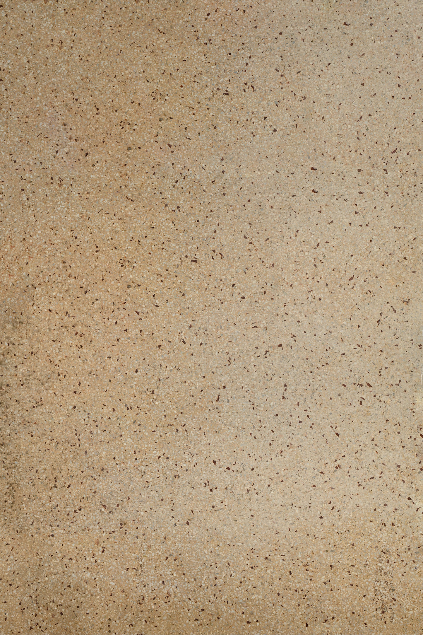 Speckled Sand