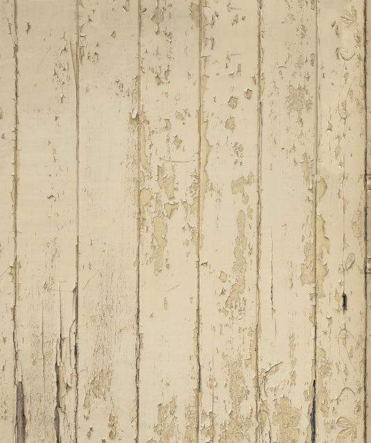 The Old School House Door