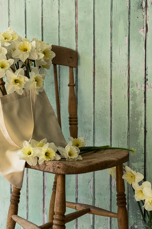 Willow Gate Photography Backdrop