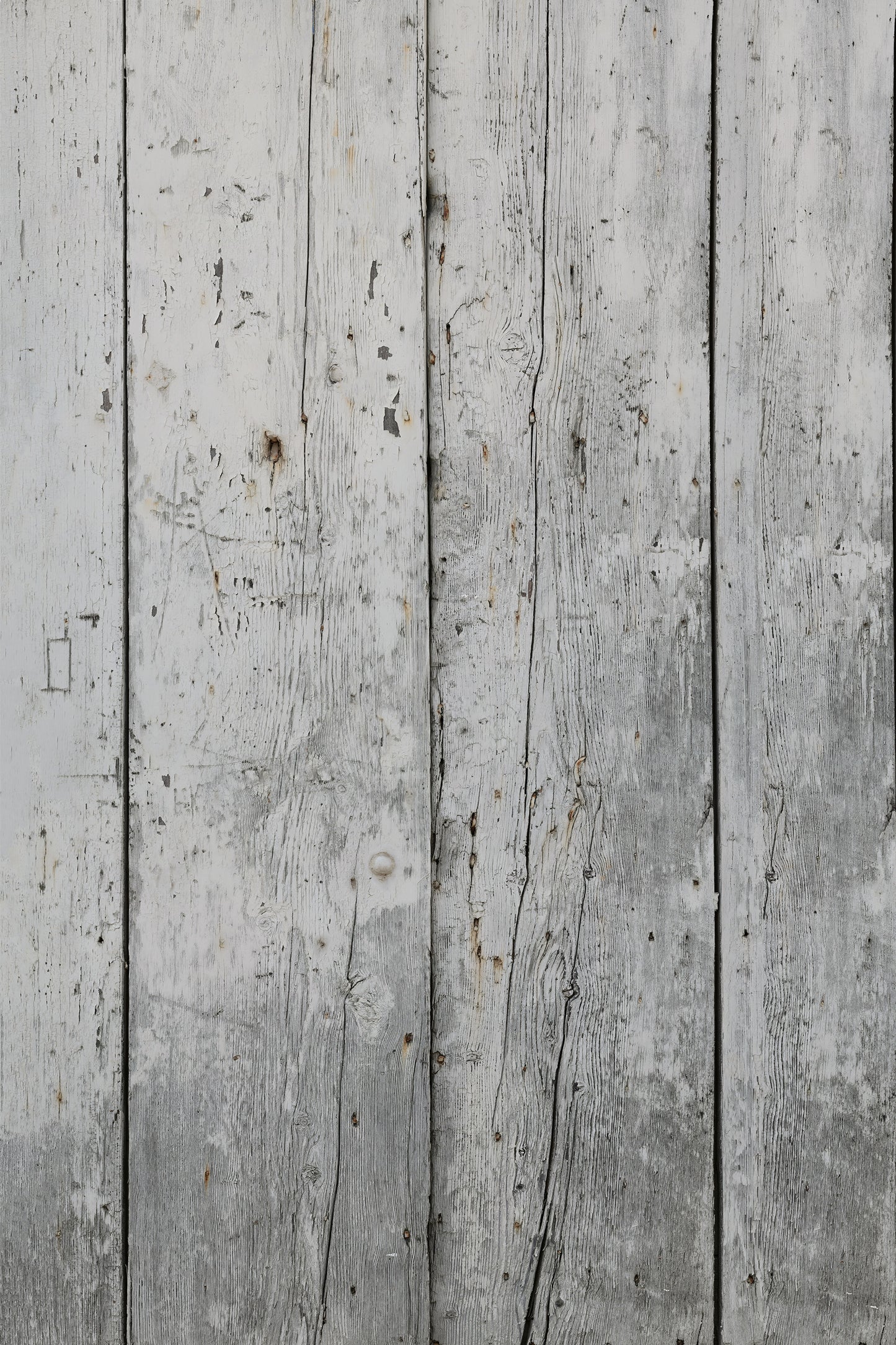 Workshop White
