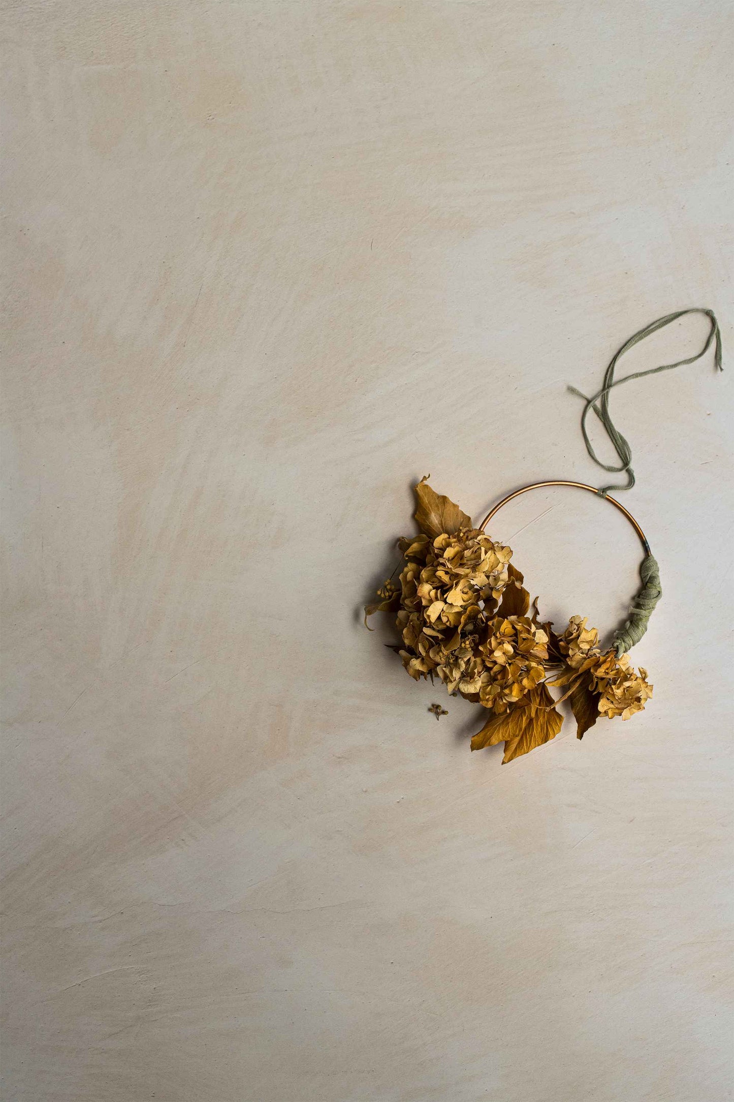 Photography Backdrop | Florence