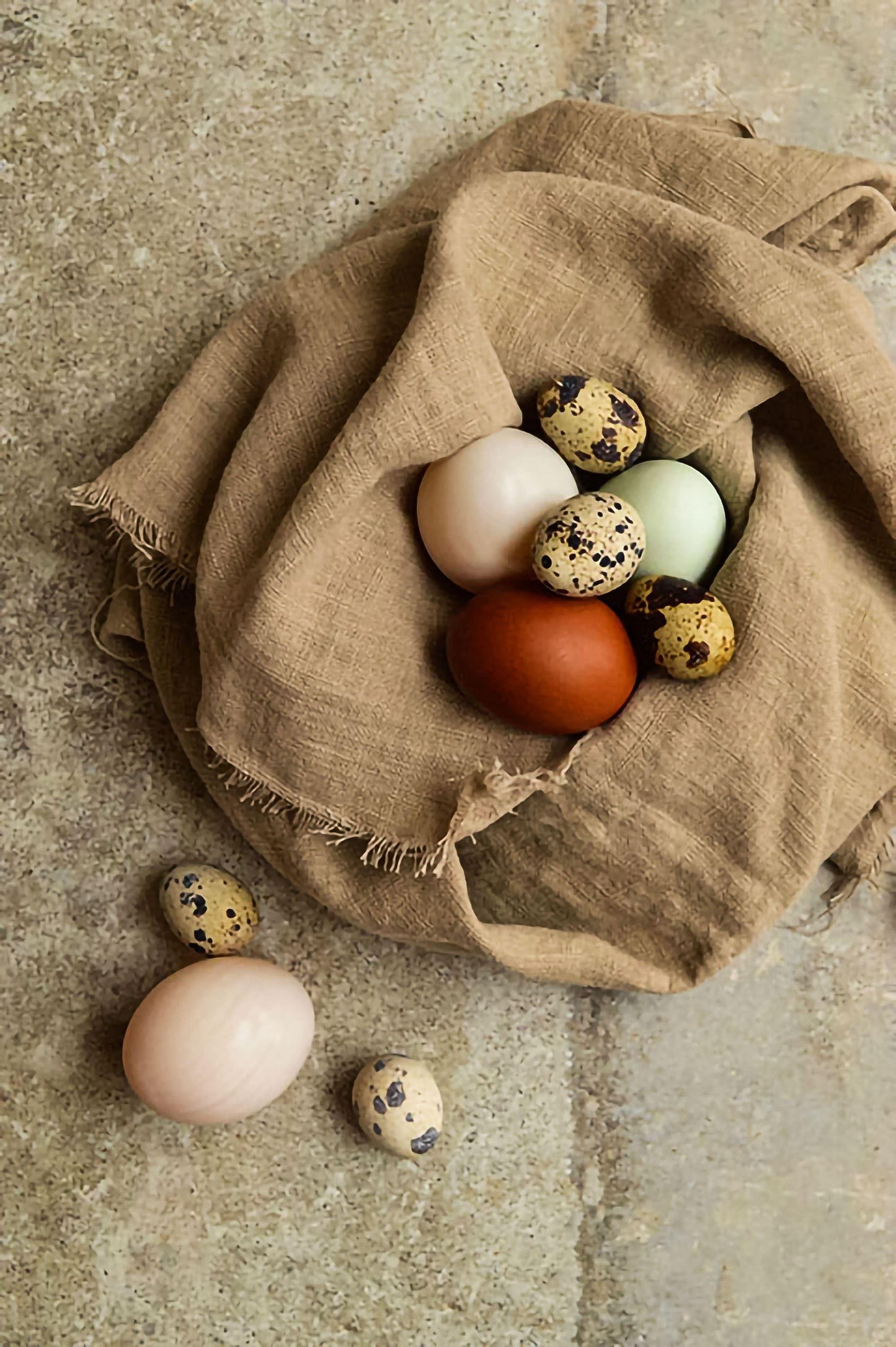 Photography Backdrop | Nile