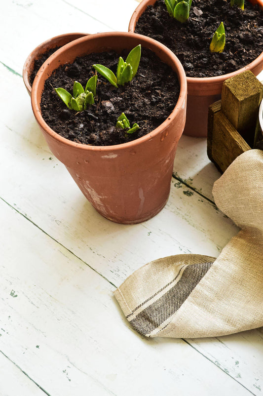 Photography Backdrop | Stockholm Green