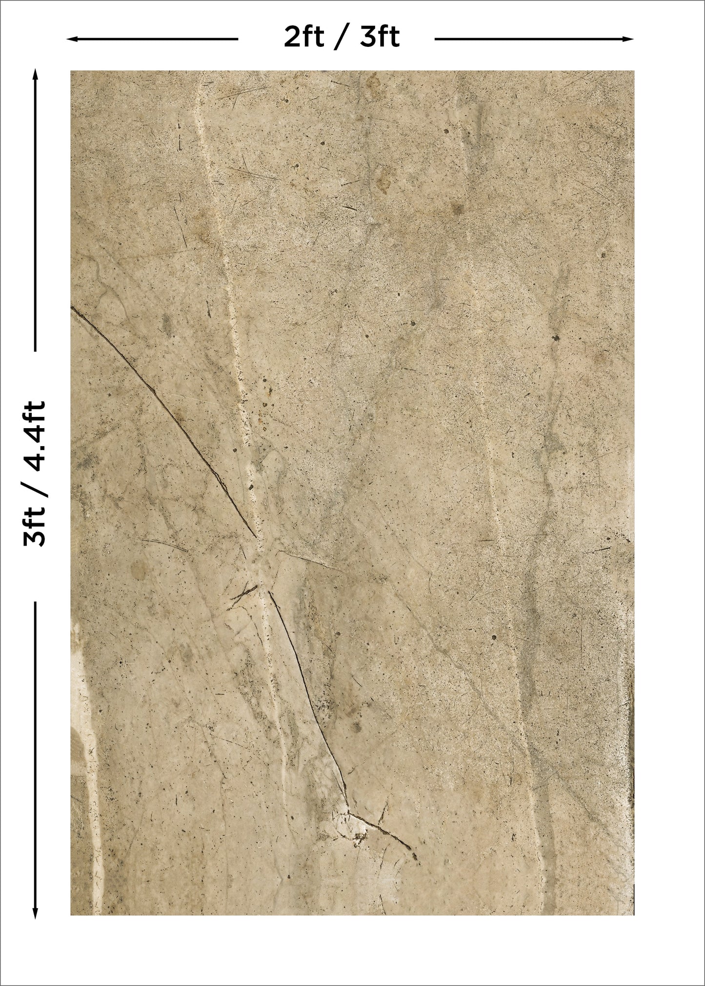 Verona - Blueberry Backdrops