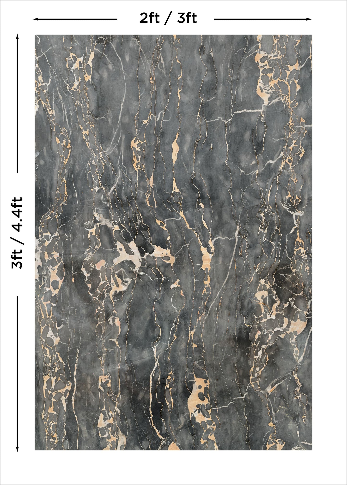 Black and Gold Photo Backdrop