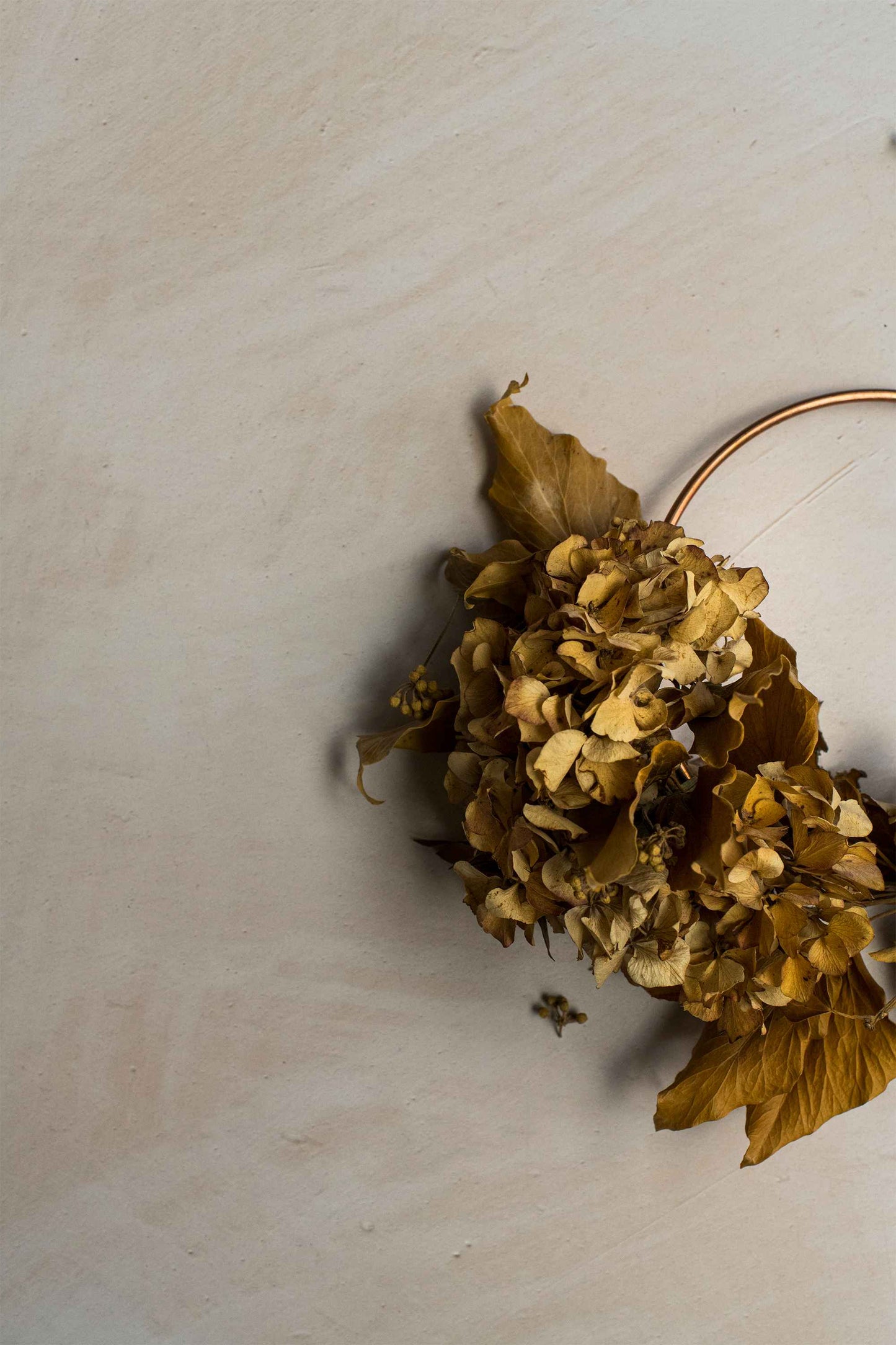 Florence - Blueberry Backdrops