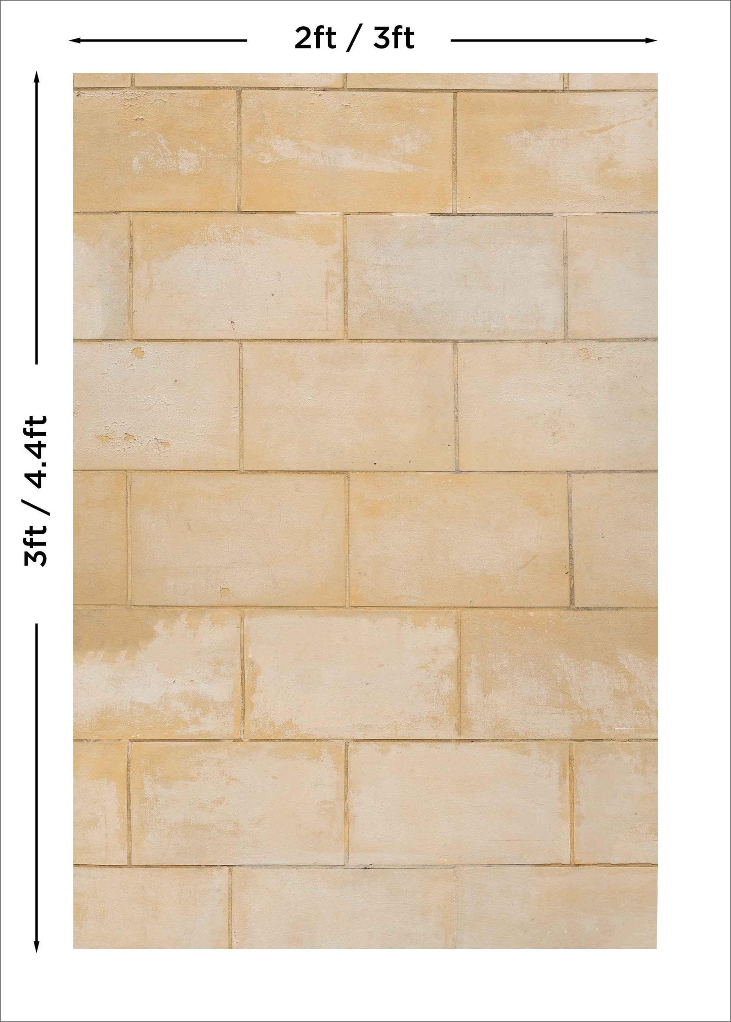 Holland Park - Blueberry Backdrops