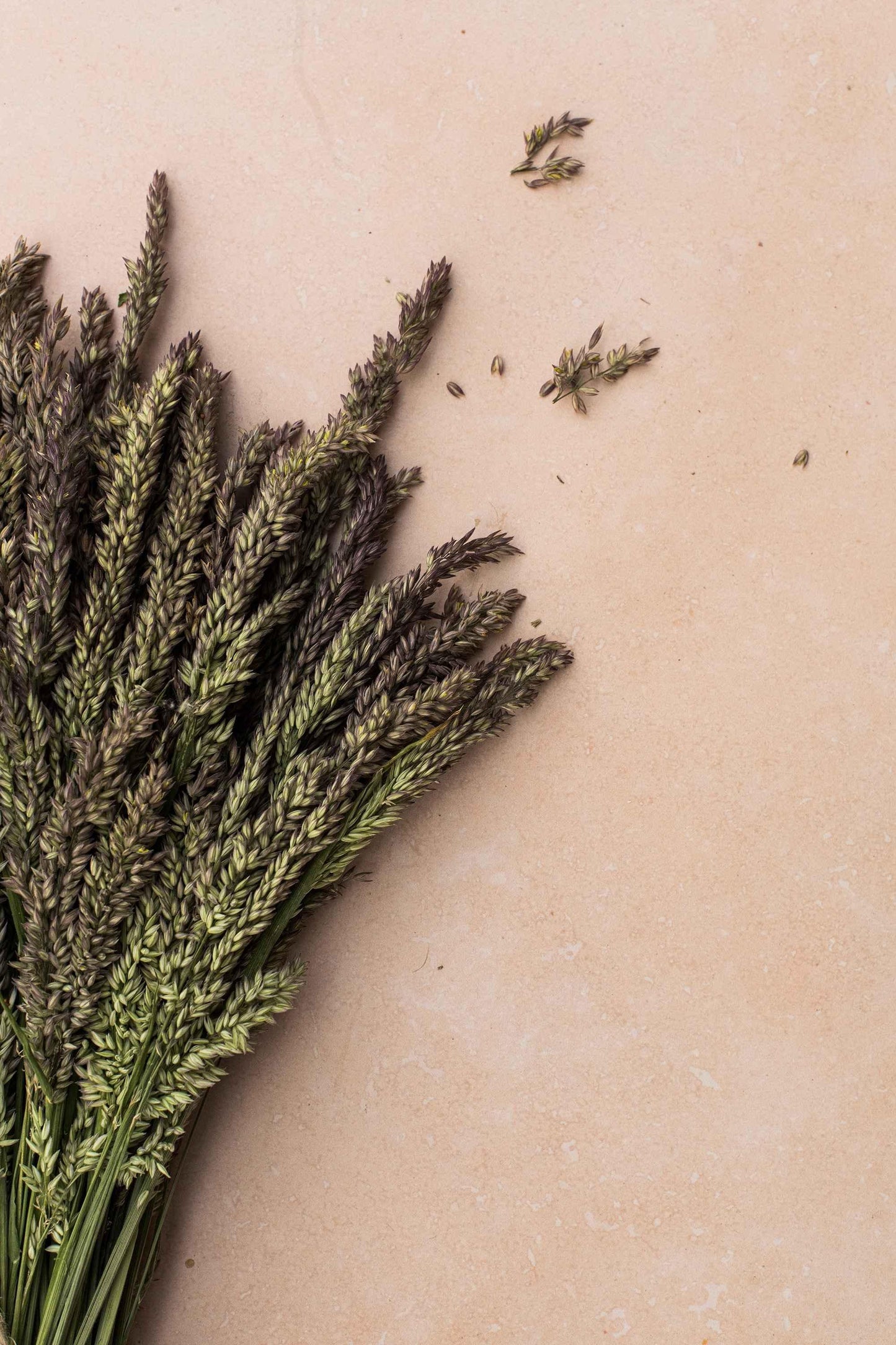 Nectar - Blueberry Backdrops