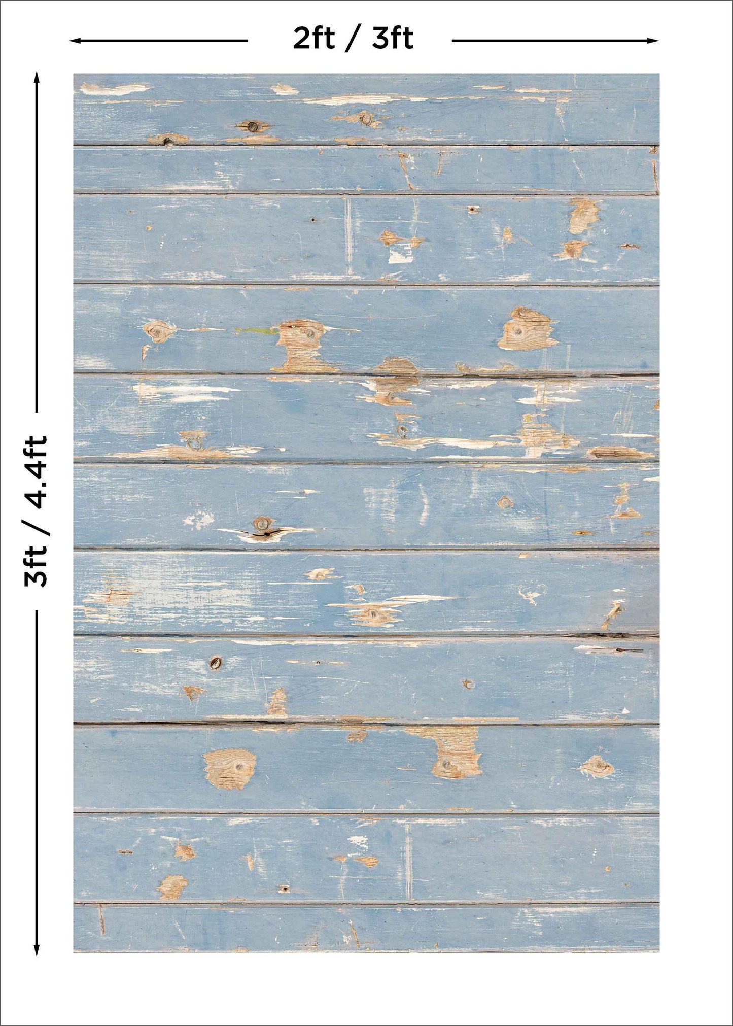 Norfolk Blue - Blueberry Backdrops