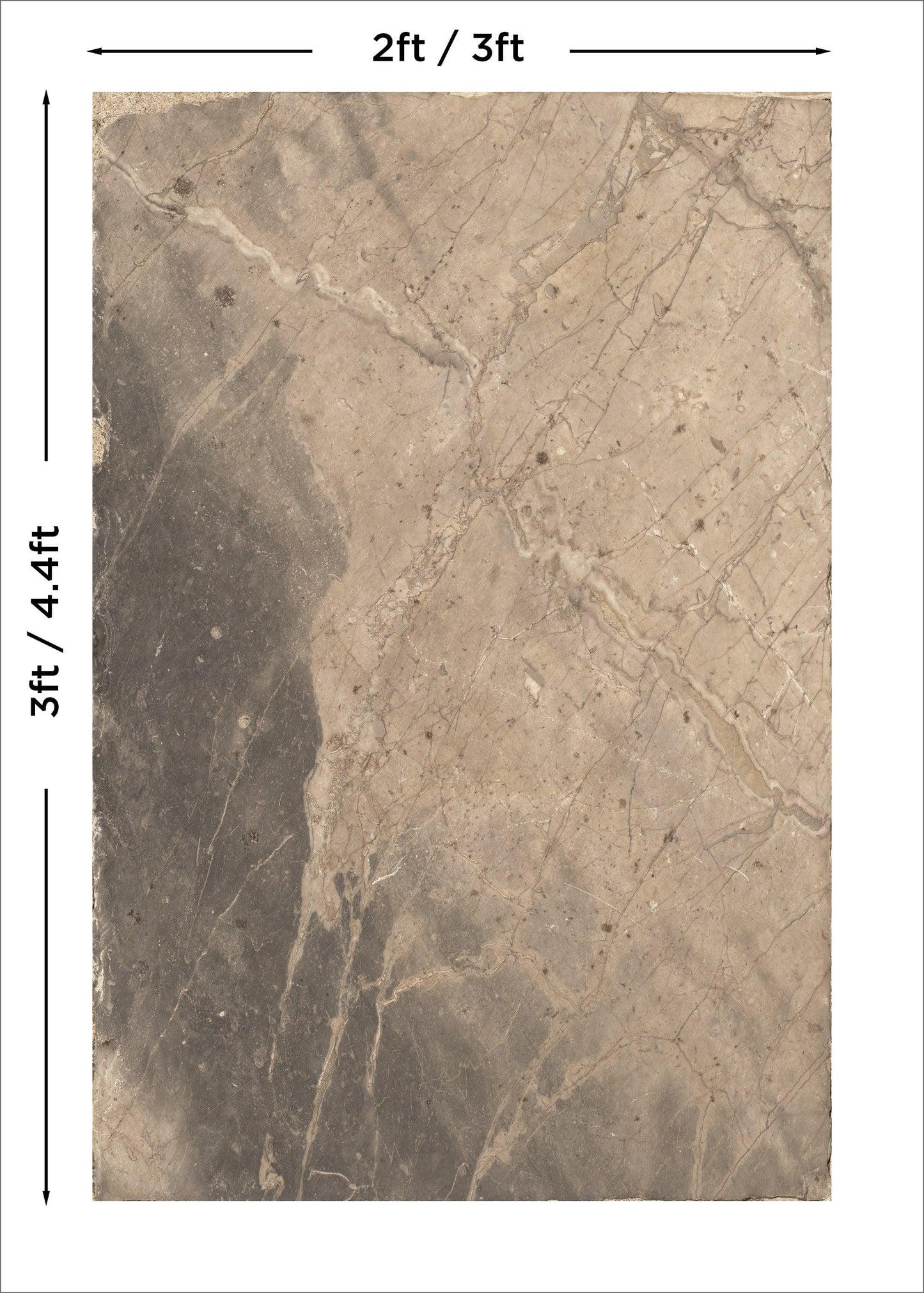 Sable - Blueberry Backdrops