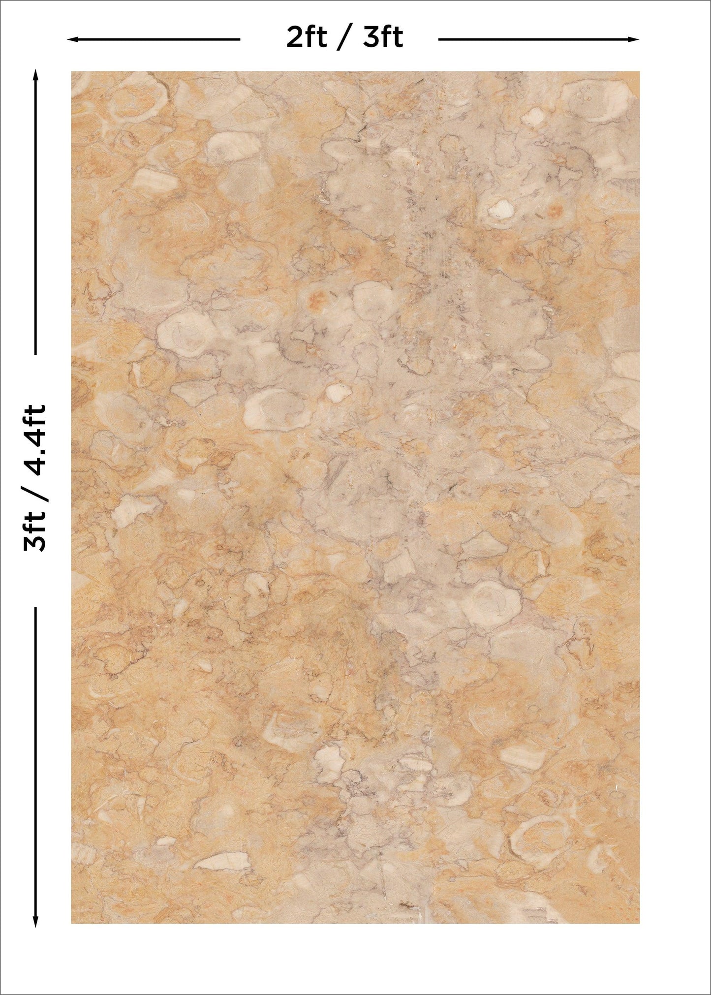 Venice Marble - Blueberry Backdrops