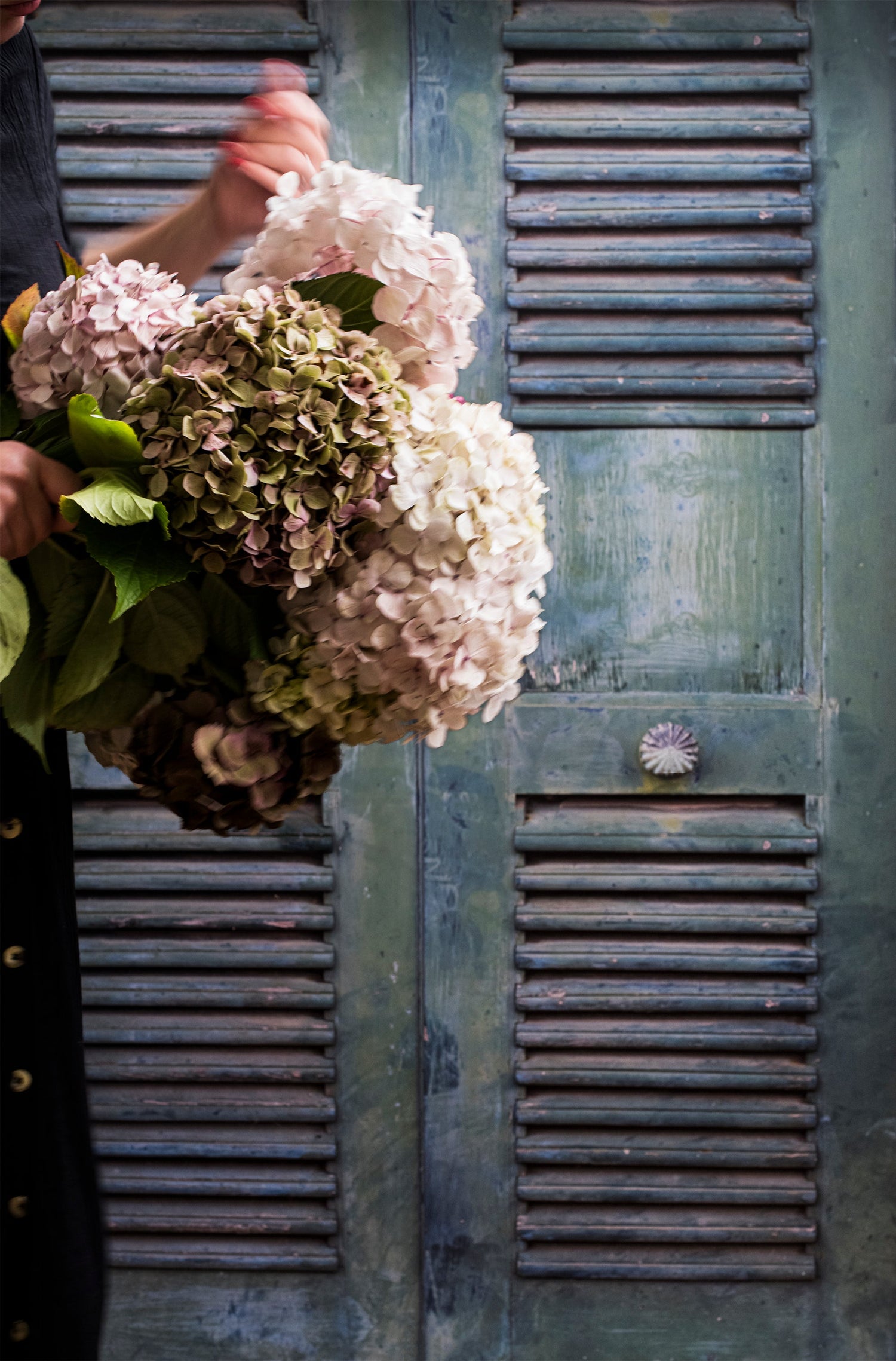The Floral Edit