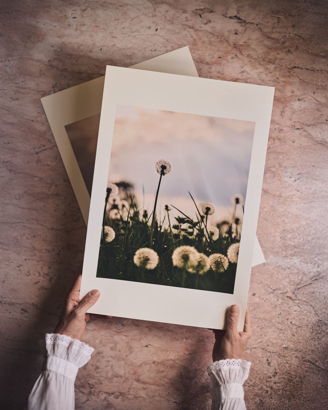 Genoa Pink Photo Backdrop