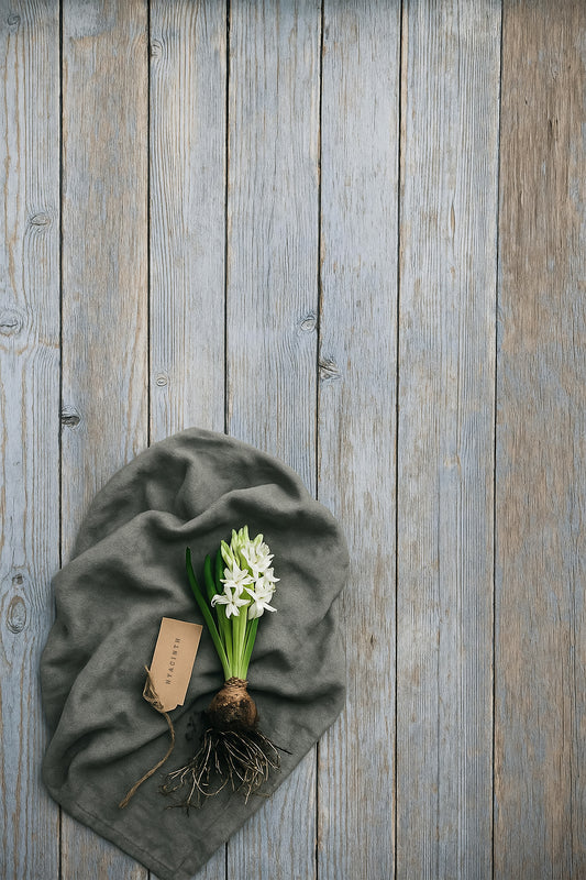 Bluewash Main Photo Backdrop