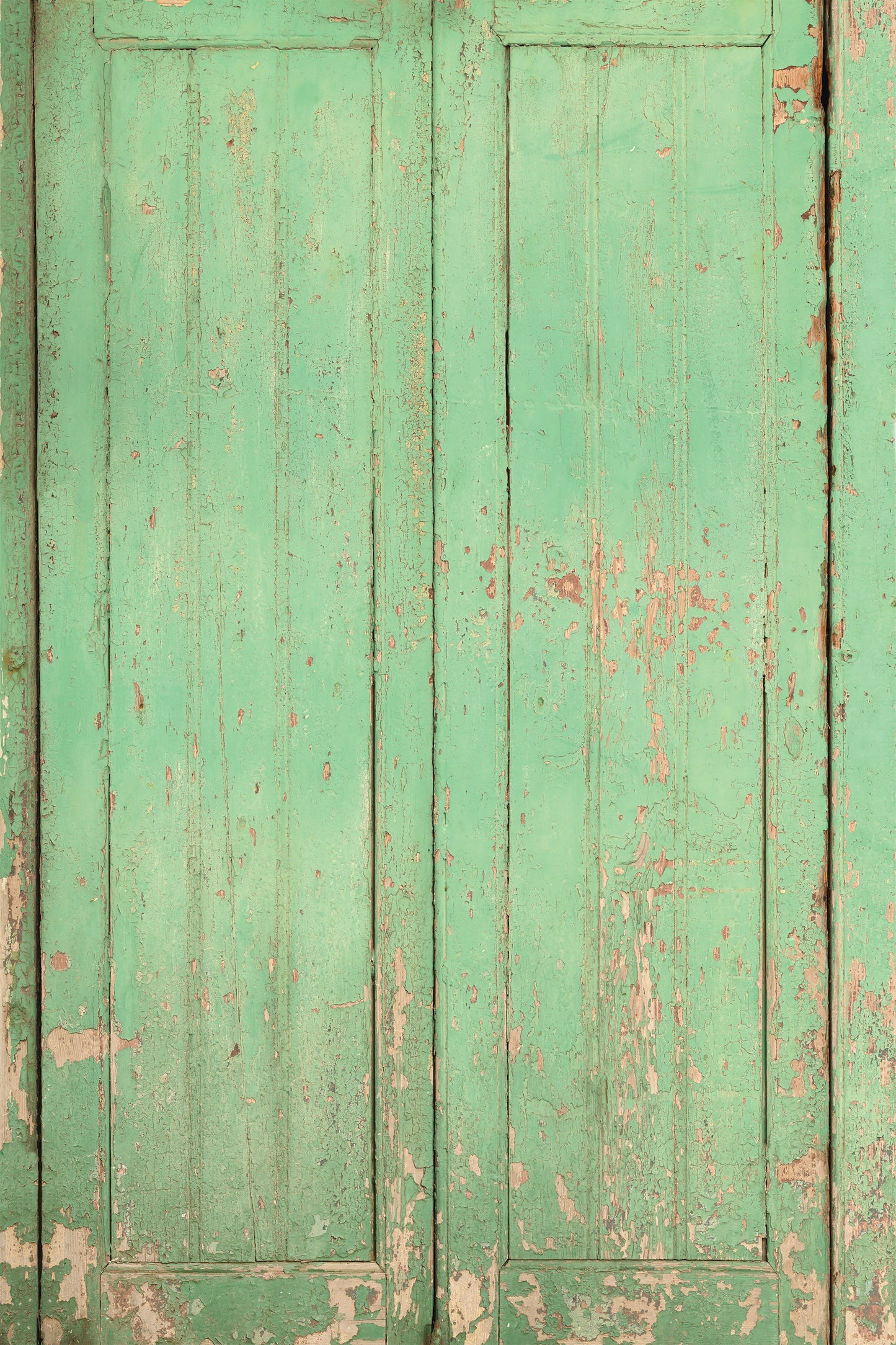 Botanists Gate Photo Backdrop