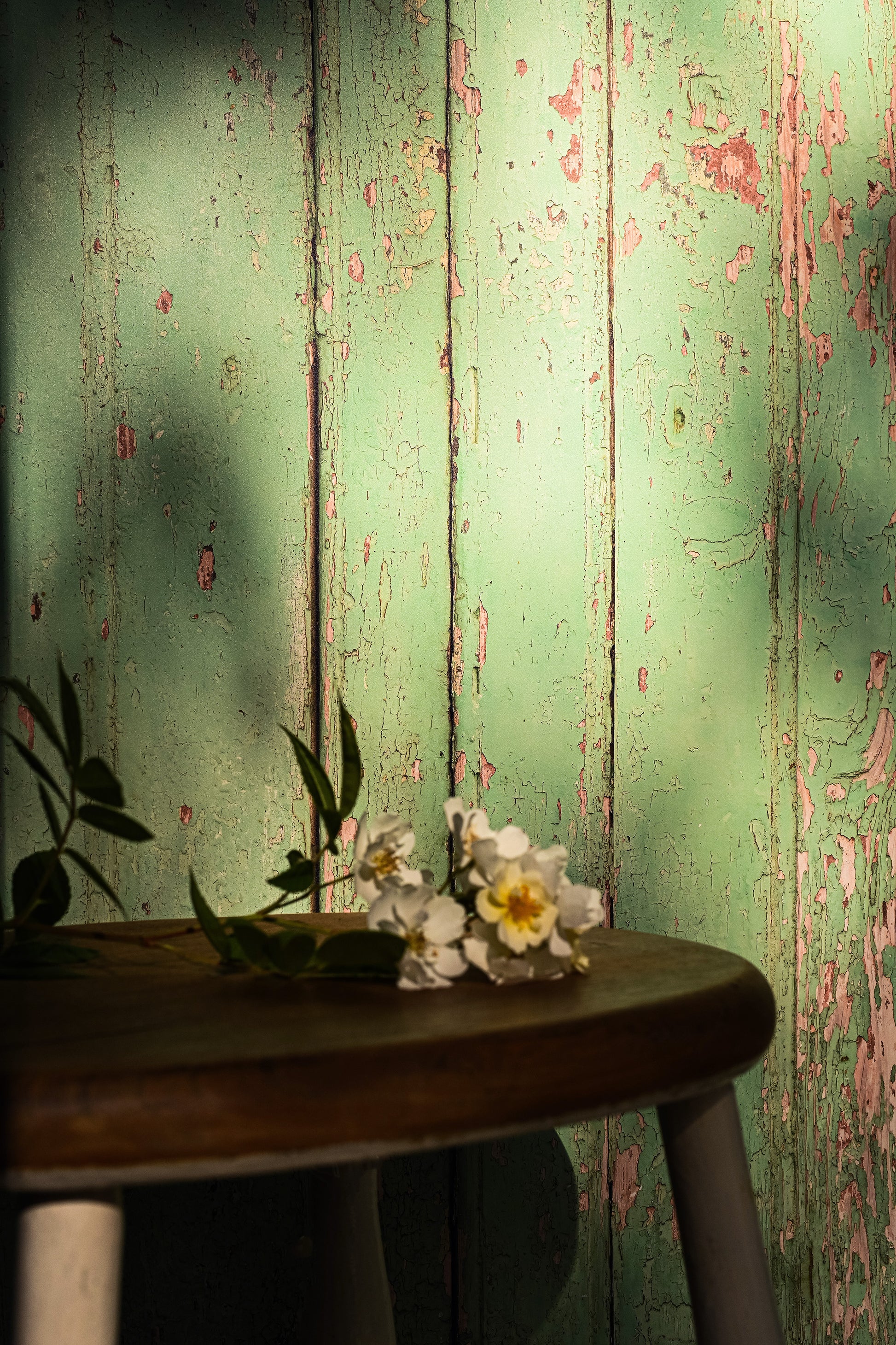 Botanist Gate Photo Backdrop