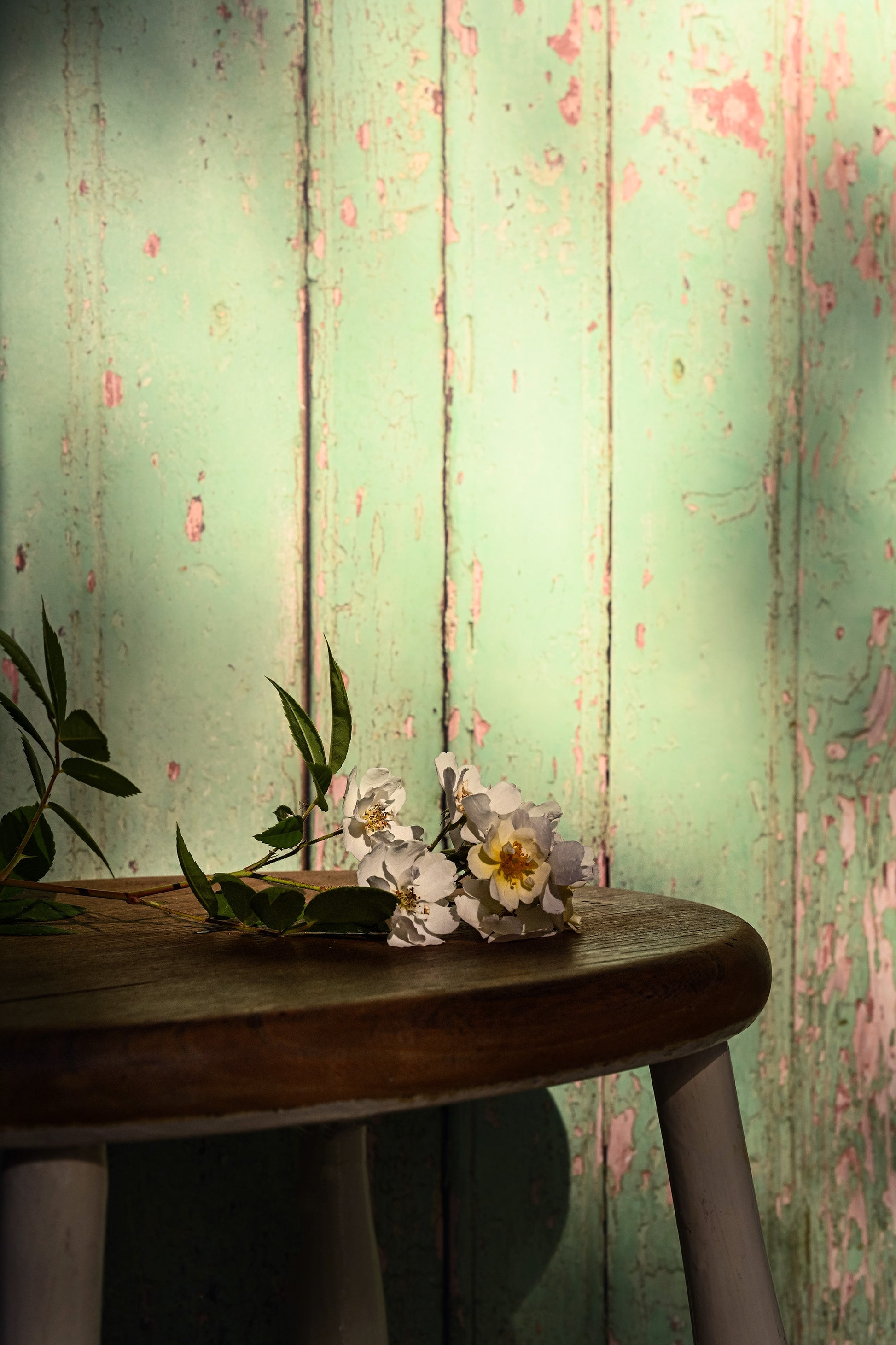 Botanist Gate Photo Backdrop