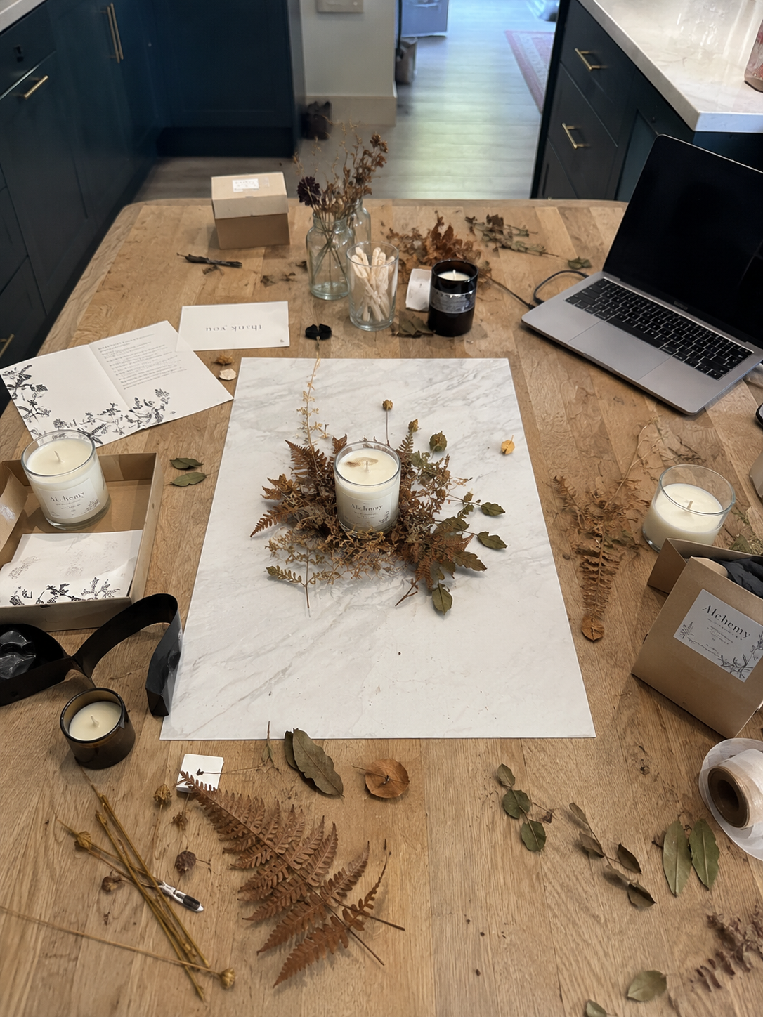 The Studio Plan | Membership