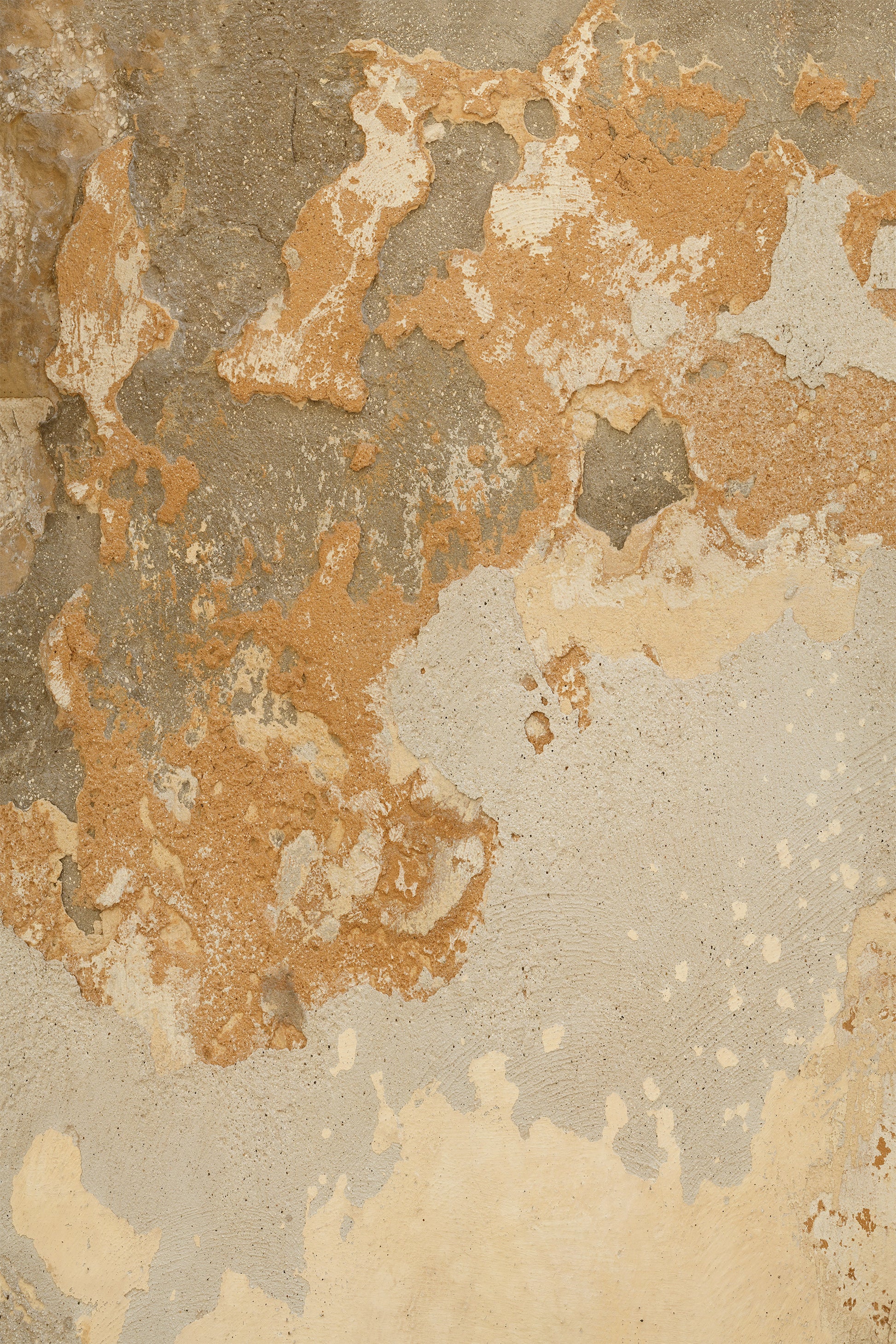 Clay and Lime Photo Backdrop