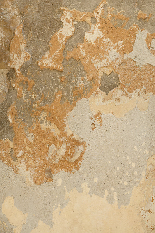 Clay and Lime Photo Backdrop