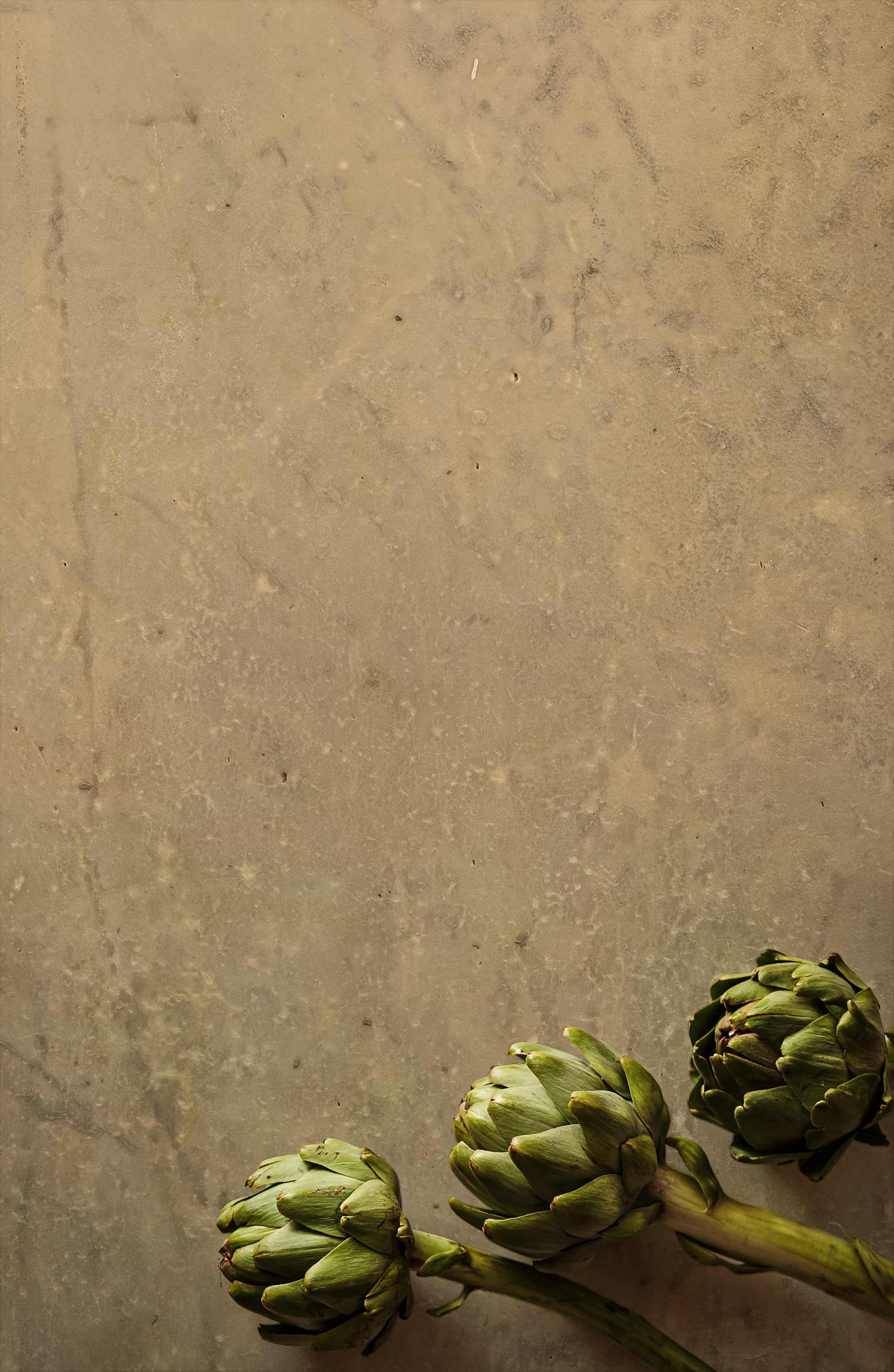 Elmstone Photo Backdrop