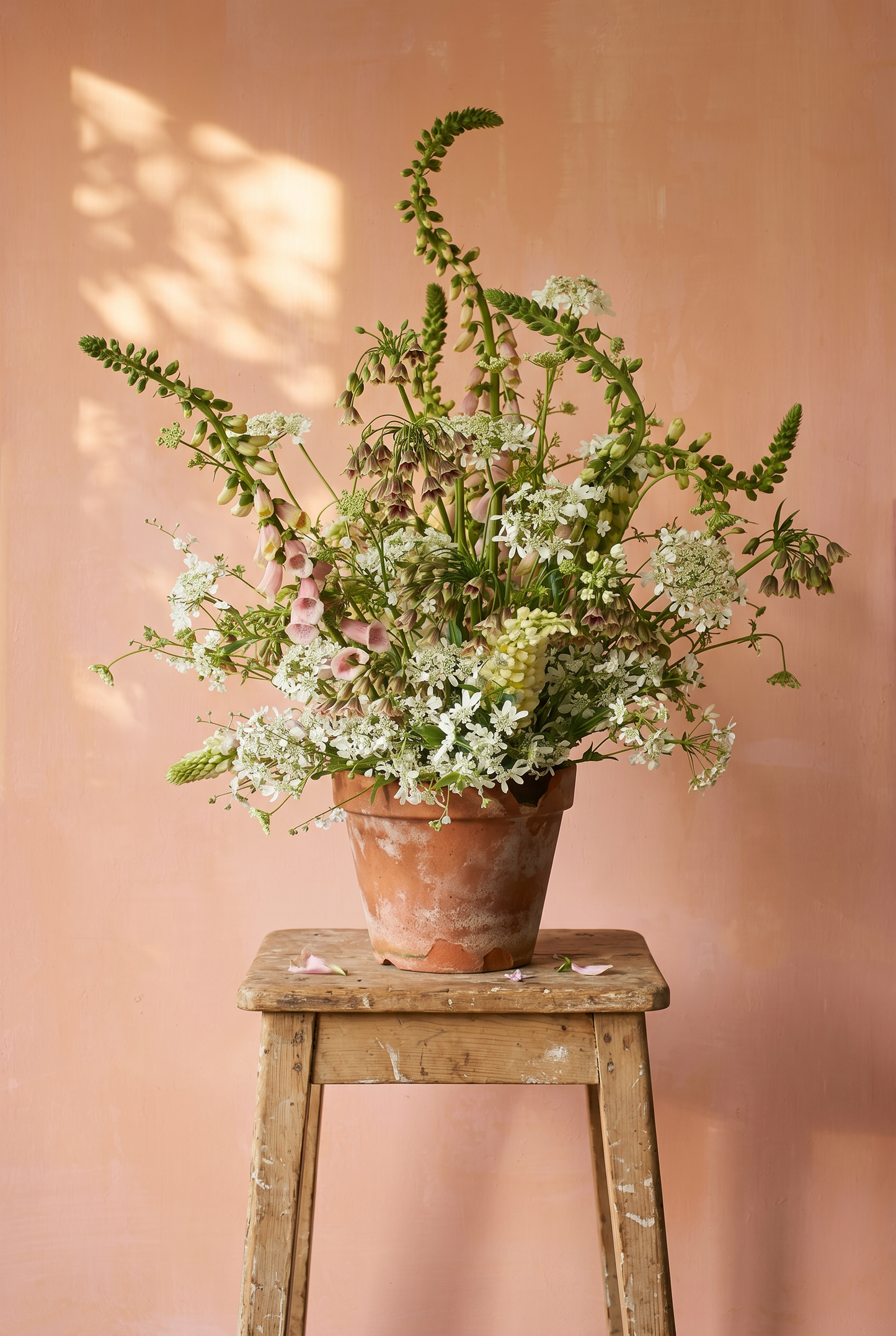 Foxglove Backdrop