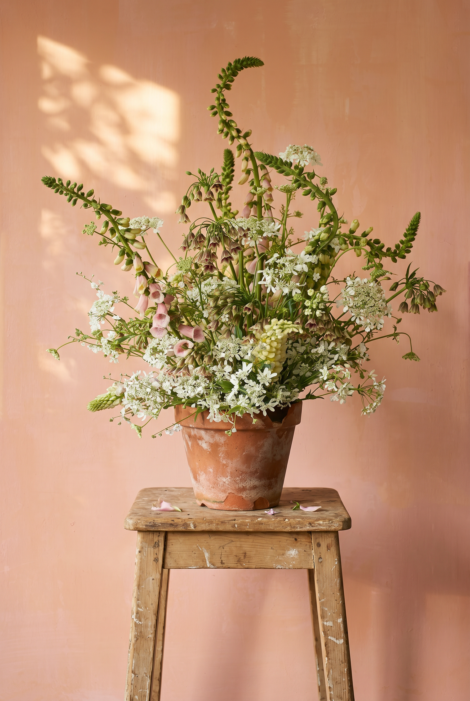 Foxglove Backdrop