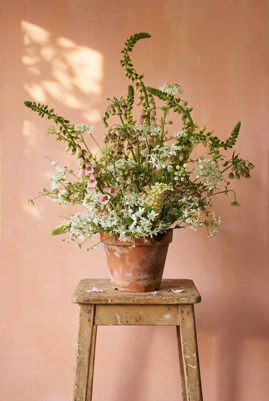 Foxglove Backdrop