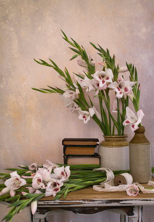 French Lavender Photography Backdrop