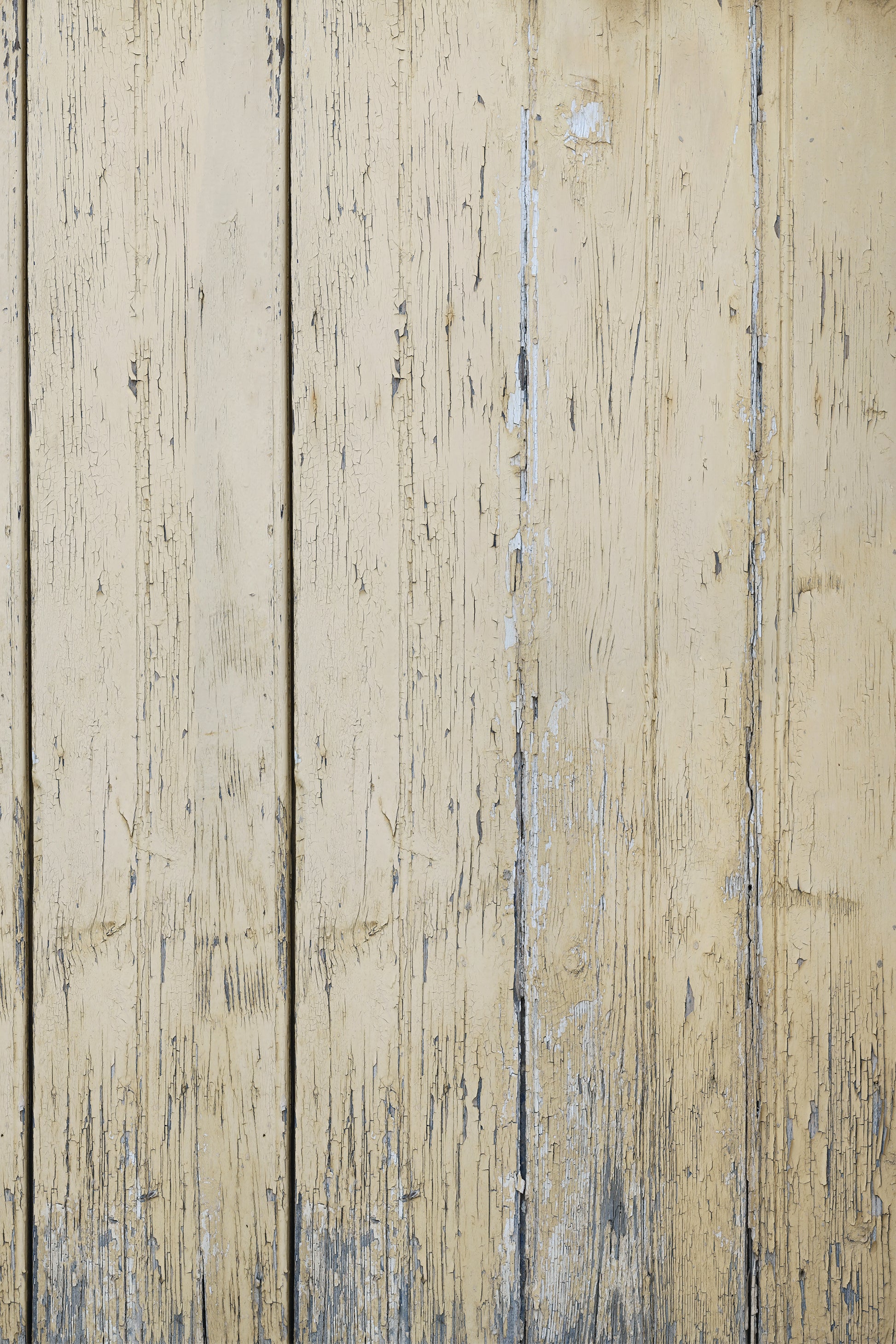 Honeywood Photo Backdrop