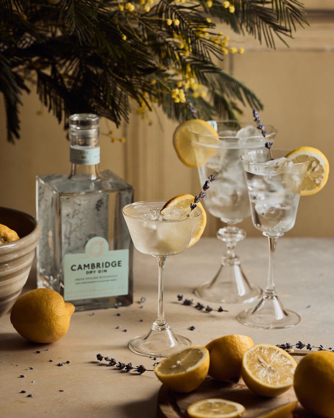 Lemon & Lavender Spritz_0576 1IG Post - GourmetglowSuze Morrison Gourmetglow.jpg