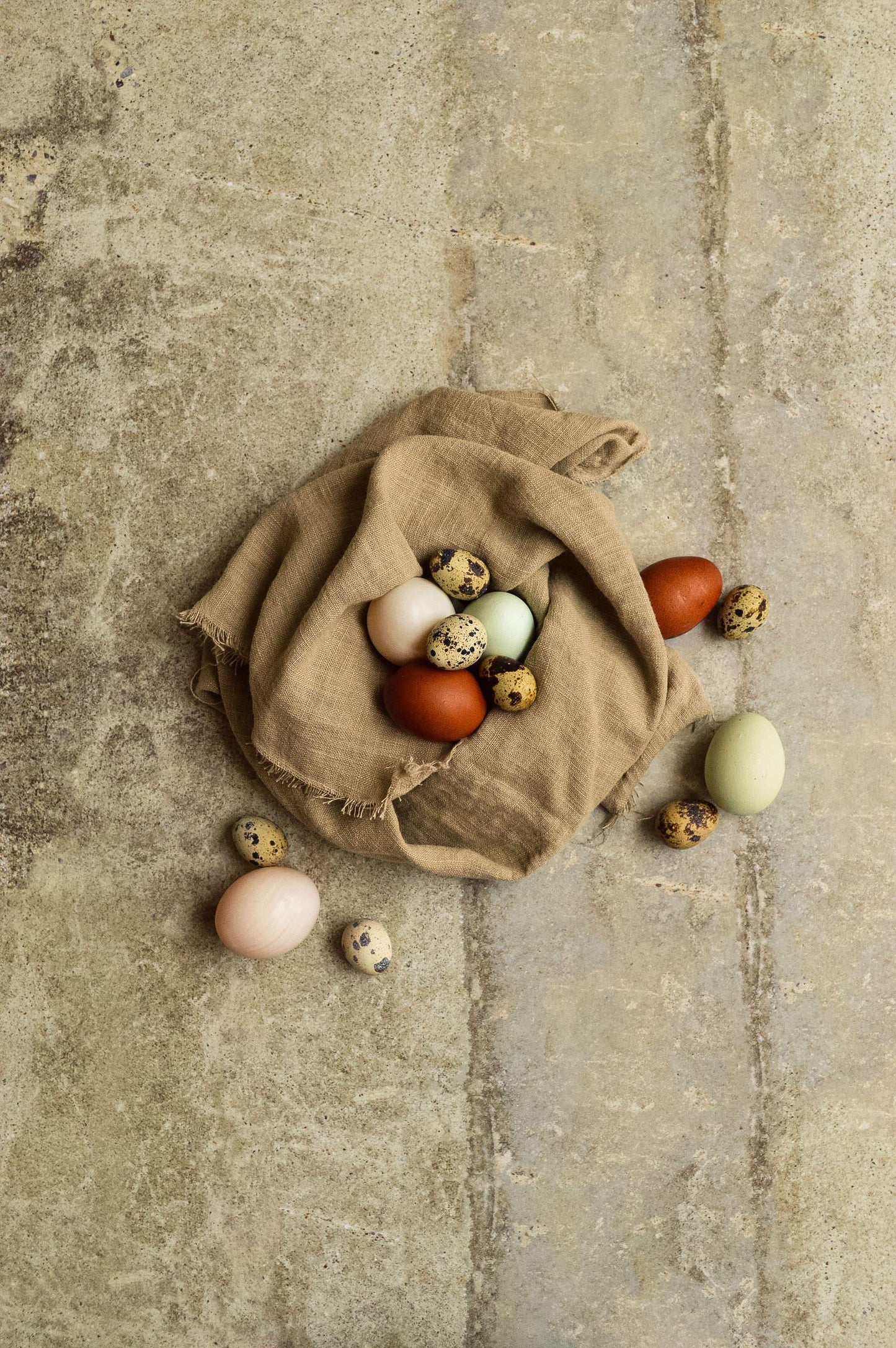 Photography Backdrop | Nile