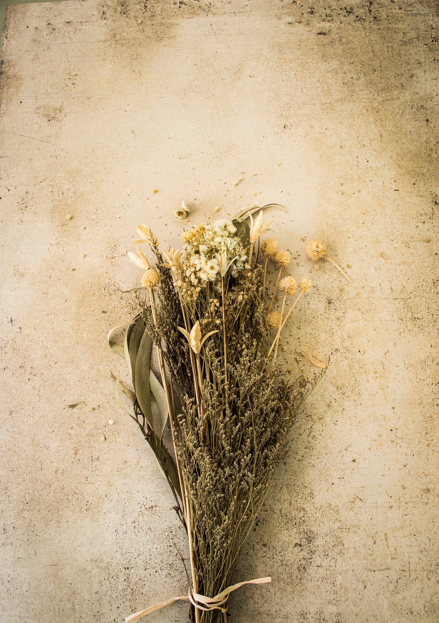 Photography Backdrop | Old Bakehouse Tray