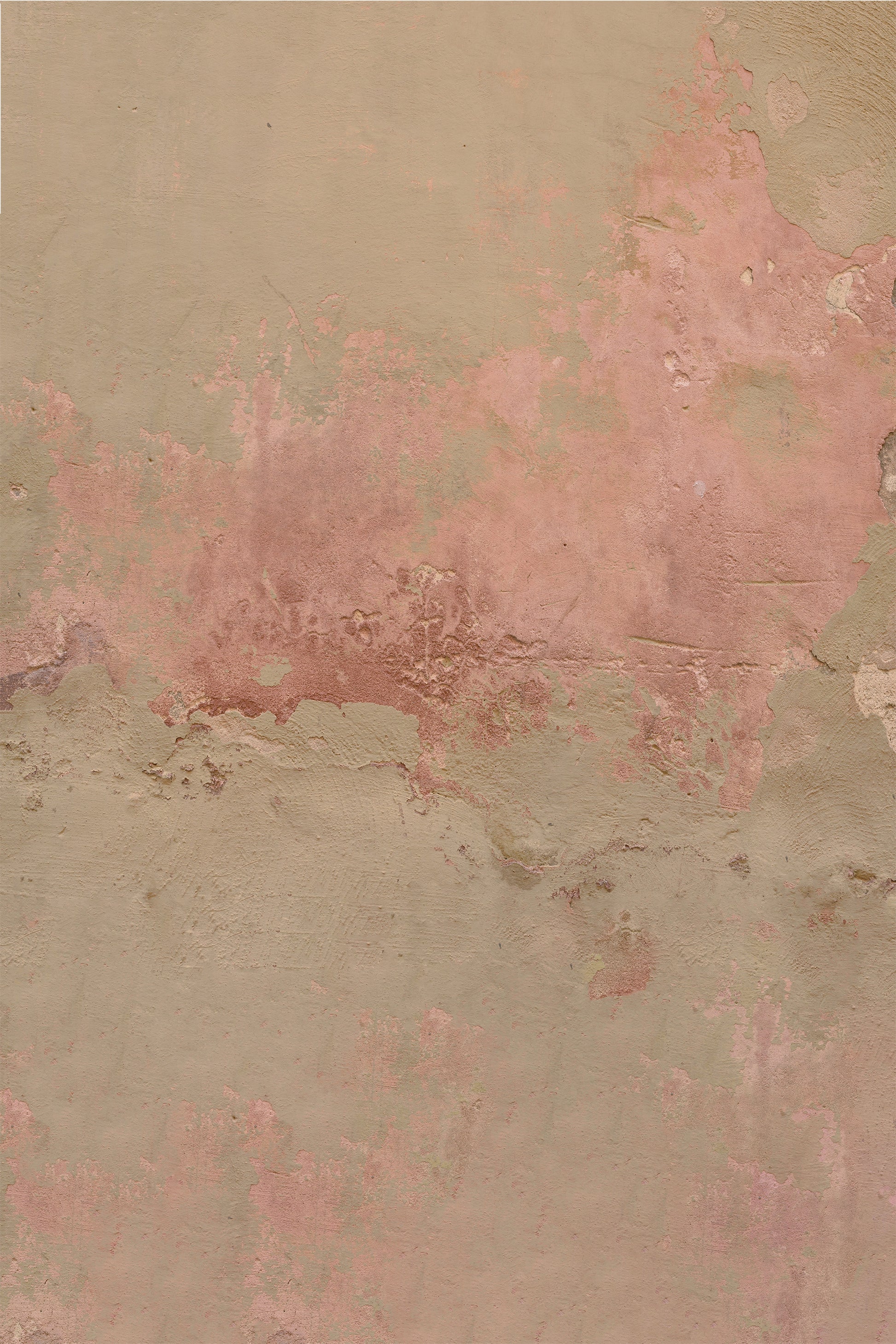 Pink Patina Photo Backdrop