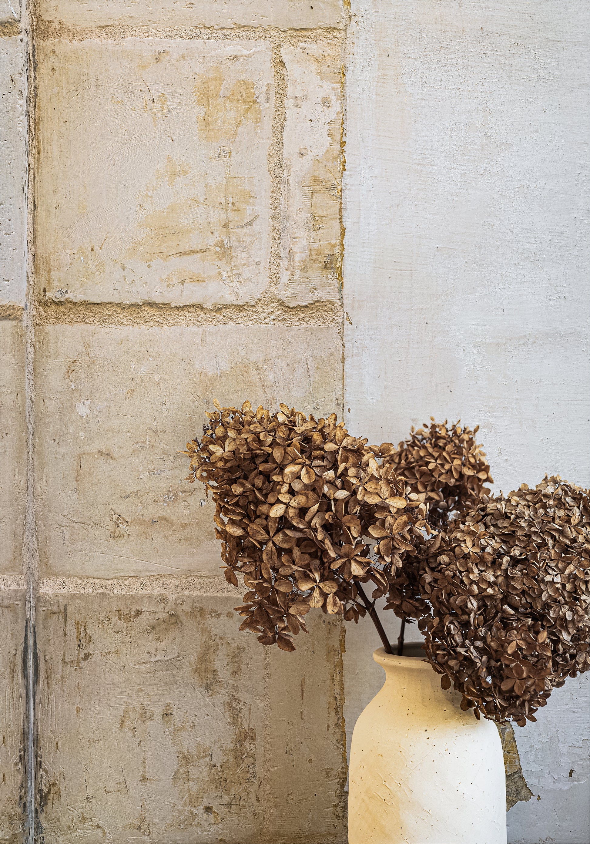 Portela Wall Photo Backdrop
