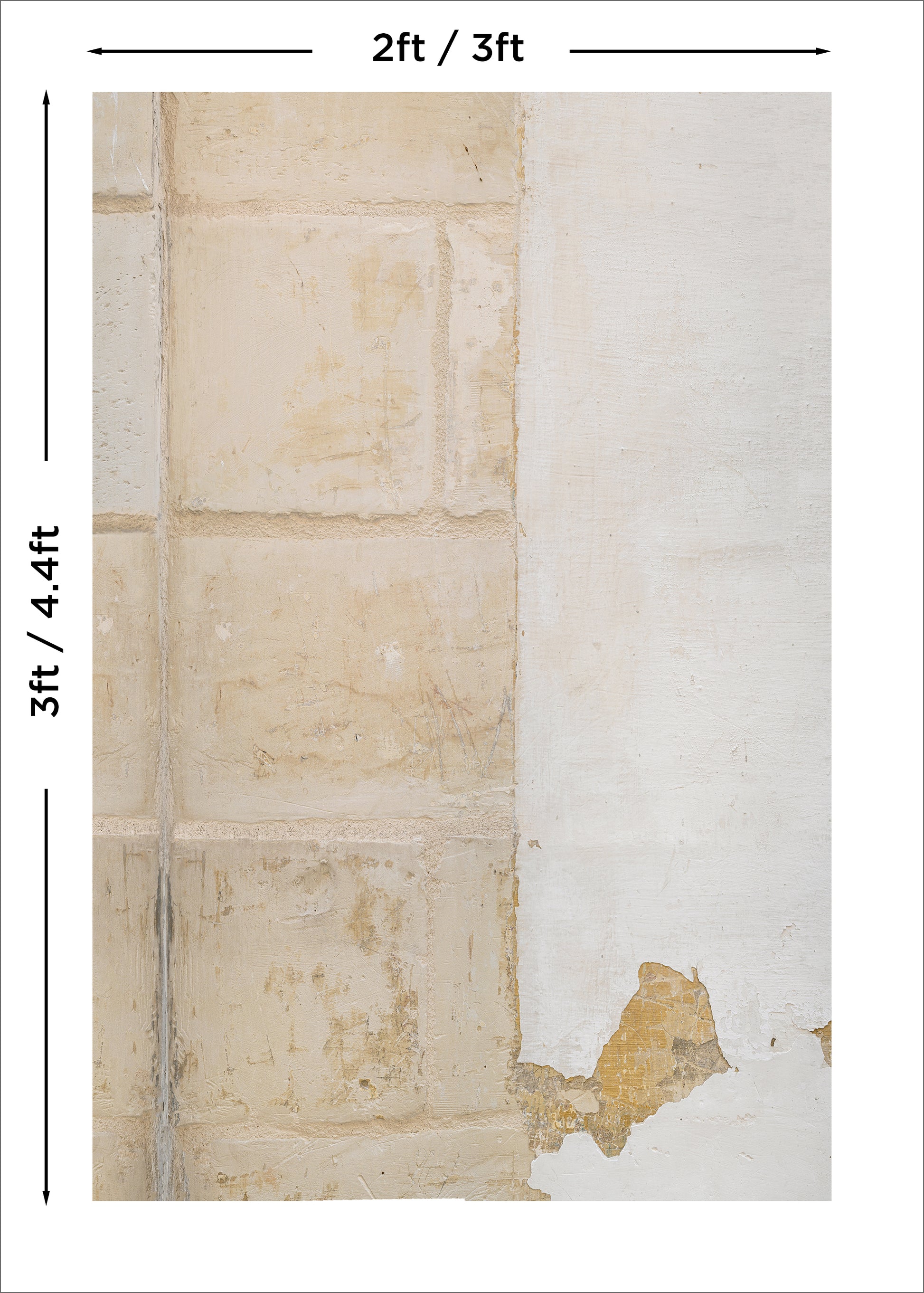 Portela Wall Photo Backdrop