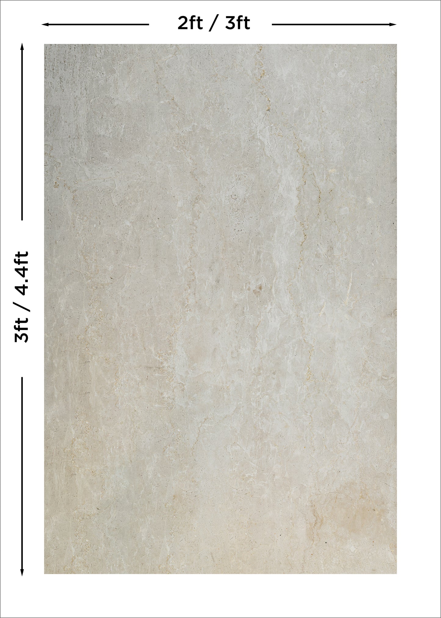 Portland Grey Photo Backdrop