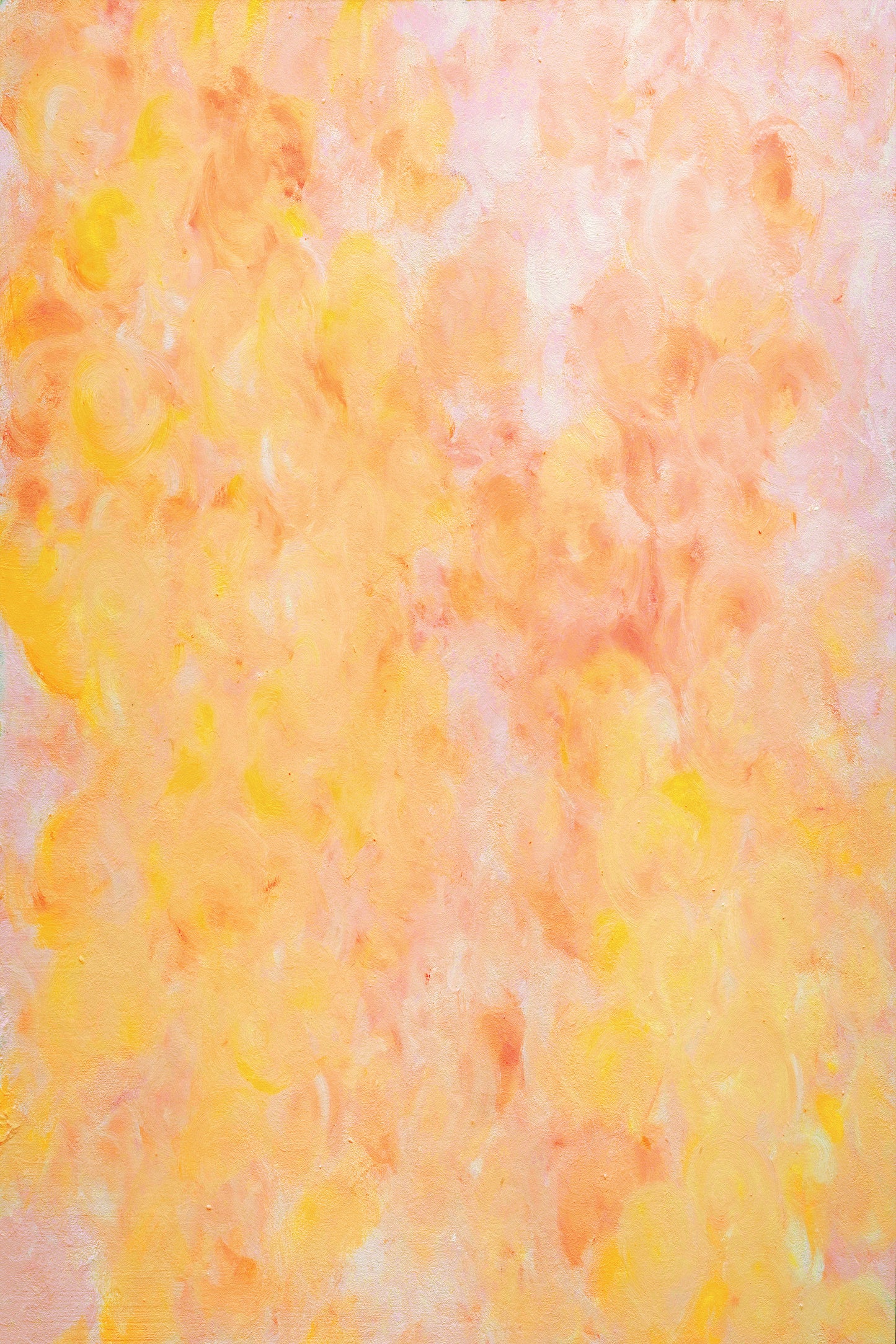 Sorbet Photo Backdrop Main