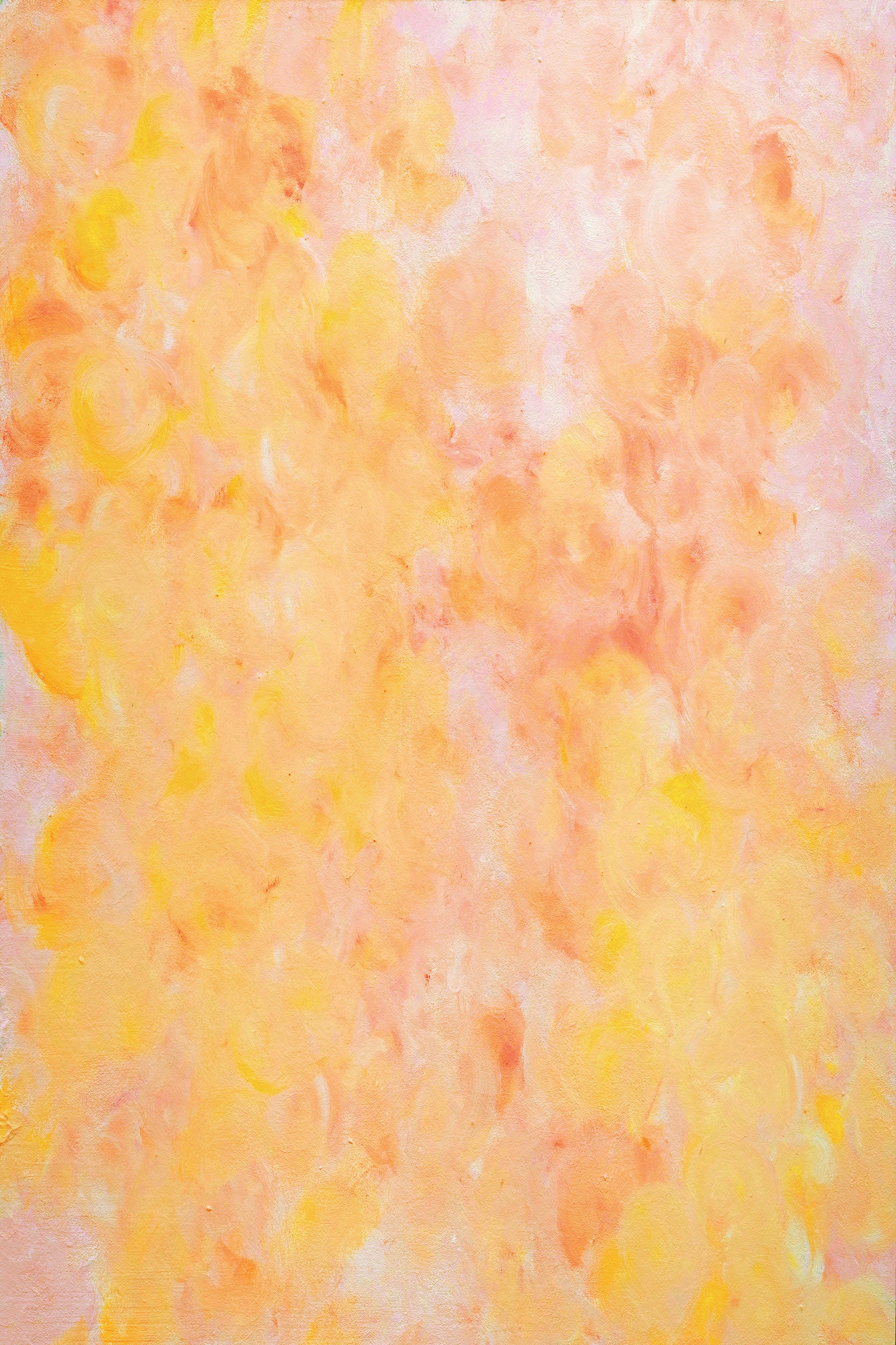 Sorbet Photo Backdrop Main