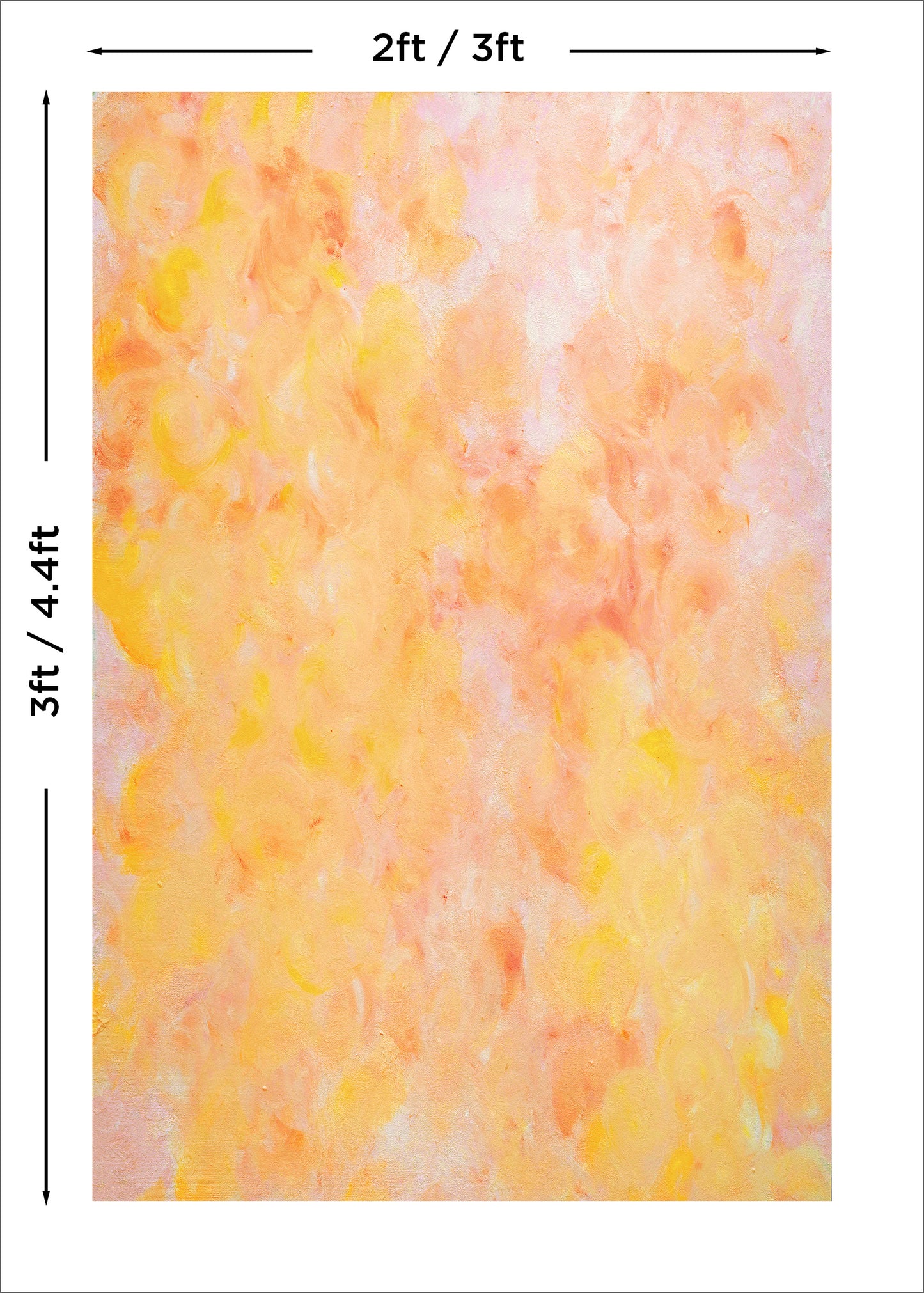 Sorbet Photo Backdrop Main